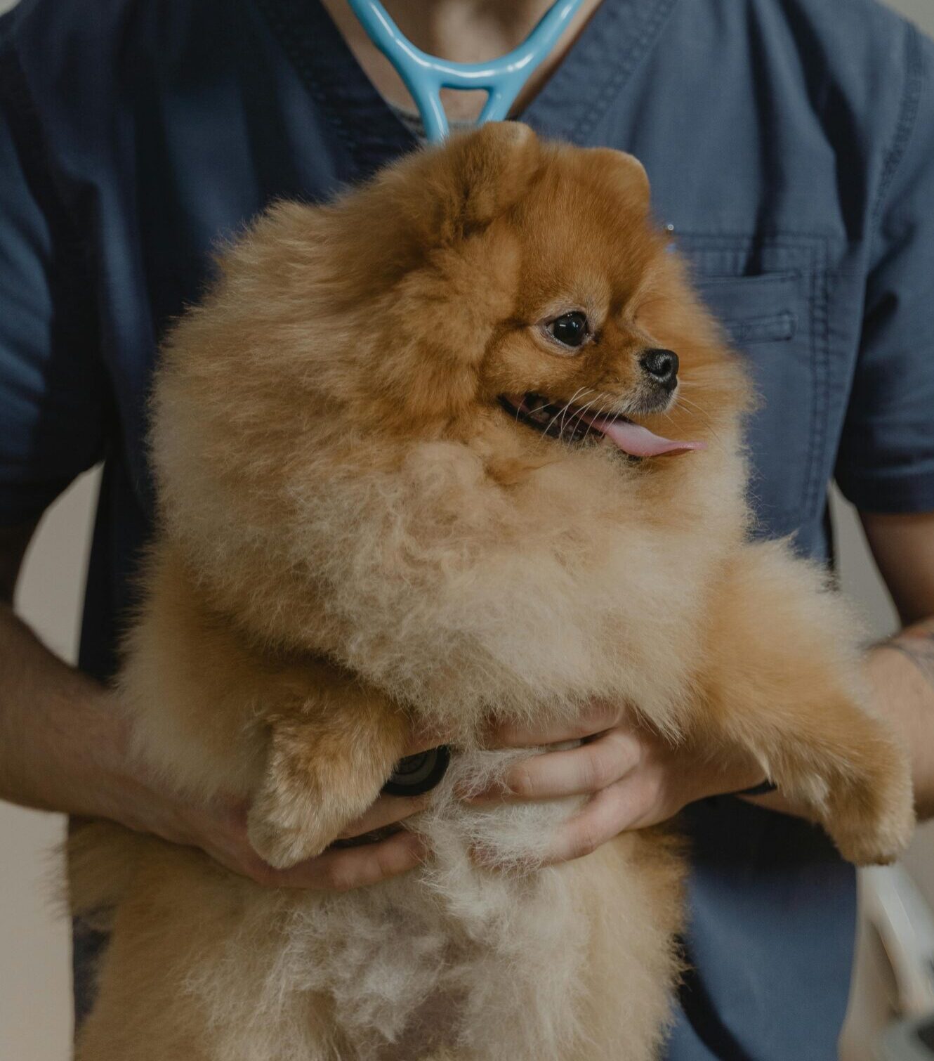 pexels tima miroshnichenko 6235664